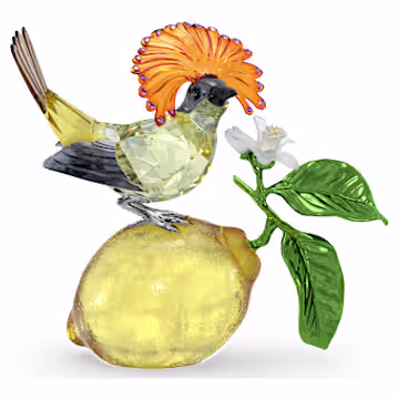 オウギタイランチョウ