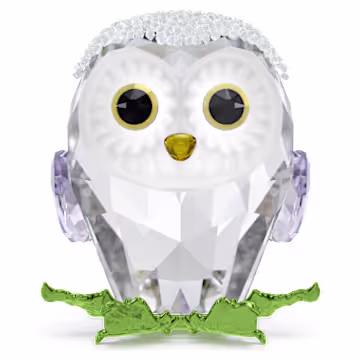 フクロウの赤ちゃん