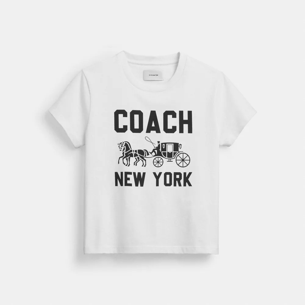 Tシャツ・オーガニック コットン